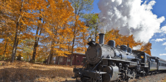 Connecticut Fall Foliage Train | I-95 Exit Guide