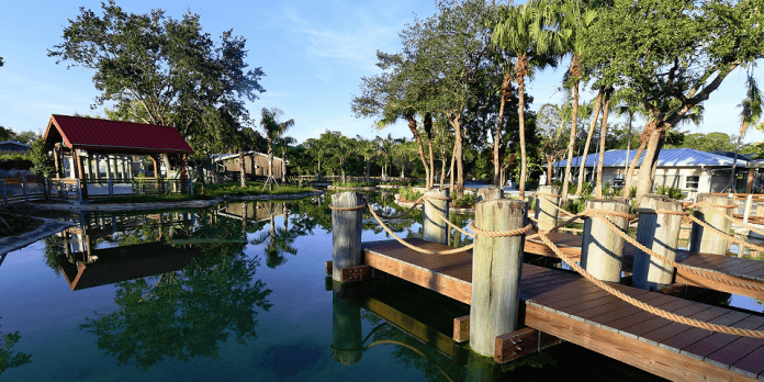 Zoo Miami | Florida Attractions | I-95 Exit Guide Zoo Miami | Florida Attractions | I-95 Exit Guide