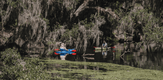 Blue Springs State Park | I-95 Exit Guide