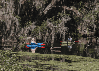 West Volusia’s Wildlife and Parks: The Best of Florida’s Great Outdoors Blue Springs State Park | I-95 Exit Guide