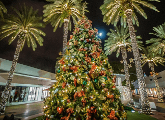 Miami Beach Christmas | I-95 Exit Guide