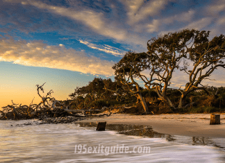 Jekyll Island, Georgia | I-95 Exit Guide