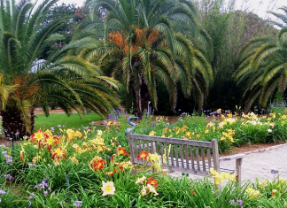 Why Kingsland and Cumberland Island, Georgia Should be on Your List of ‘Must See’ Destinations Coastal Georgia Botanical Gardens | I-95 Exit Guide