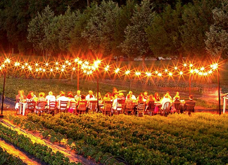 Eat & Drink What You Love This Fall in Virginia Virginia Fall Festivals | I-95 Exit Guide