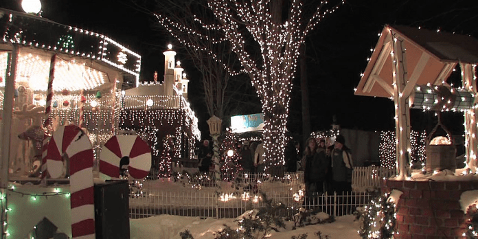 ZooLights at the Stone Zoo | I-95 Exit Guide ZooLights at the Stone Zoo | I-95 Exit Guide