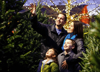 Seasonal Events Blanket the New Jersey Chill with a Warm Holiday Spirit Johnsons Corner Farm | I-95 Exit Guide