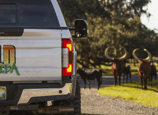 Wild Florida Announces Grand Opening of Drive-thru Safari Park Wild Florida | I-95 Exit Guide
