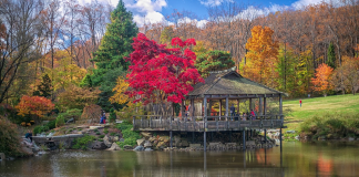 Brookside Gardens | I-95 Exit Guide