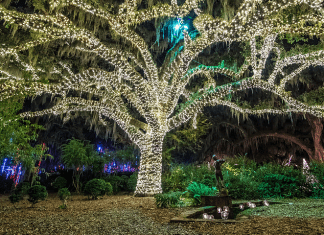Discover Holiday Delights in Myrtle Beach, South Carolina Myrtle Beach Christmas | I-95 Exit Guide