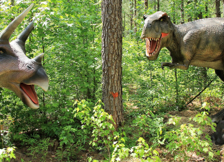 Dinosaur World Opens June 9th in Fayetteville, NC Dinoworld - Fayetteville, North Carolina | I-95 Exit Guide