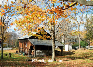 Delaware’s Fall Bucket List Delaware Fall Foliage | I-95 Exit Guide
