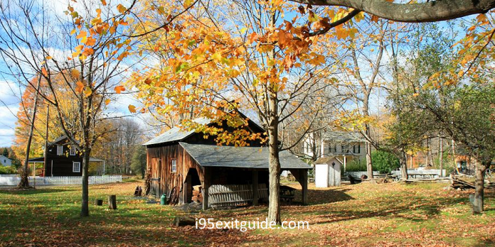 Delaware Fall Foliage | I-95 Exit Guide