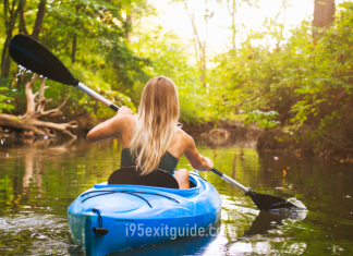 Explore the North Carolina Marshlands ‘Where the Crawdads Sing’ North Carolina marshland | I-95 Exit Guide