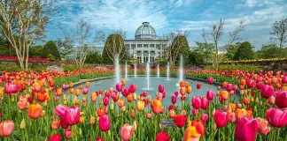 Lewis Ginter Botanical Garden | I-95 Exit Guide