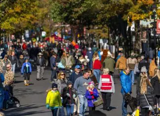 The 51st Annual Waterfowl Festival Offers Something for Everyone! Easton Waterfowl Festival | I-95 Exit Guide