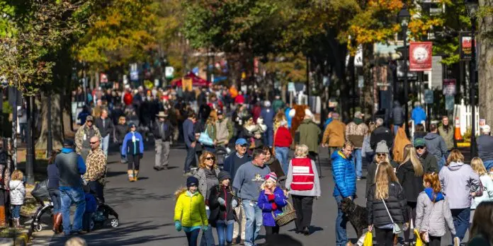 Easton Waterfowl Festival | I-95 Exit Guide Easton Waterfowl Festival | I-95 Exit Guide