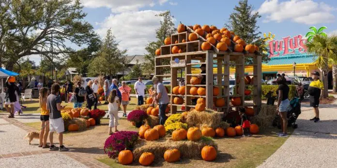 960x480-myrtle-beach-pumpkins Myrtle Beach | I-95 Exit Guide