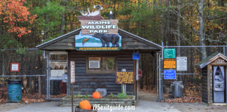 Maine Wildlife Park - Gray, Maine | I-95 Exit Guide