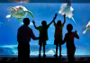 Adventure Aquarium - Camden, New Jersey | I-95 Exit Guide