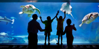 Adventure Aquarium - Camden, New Jersey | I-95 Exit Guide