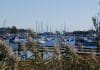 Milford, Connecticut Harbor | I-95 Exit Guide