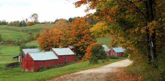 Fall Foliage Season in Vermont | I-95 Exit Guide