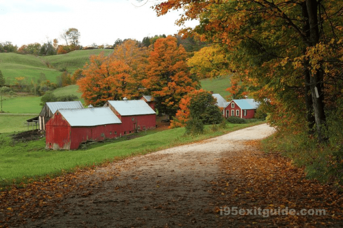 Fall Foliage Season in Vermont | I-95 Exit Guide