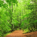 Talcott Mountain State Park | I-95 Exit Guide