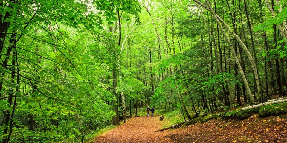 Talcott Mountain State Park | I-95 Exit Guide