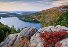 Maine Fall Foliage | I-95 Exit Guide