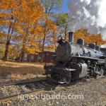 Connecticut Fall Foliage Train | I-95 Exit Guide