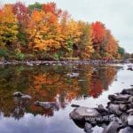 Fall Foliage | I-95 Exit Guide