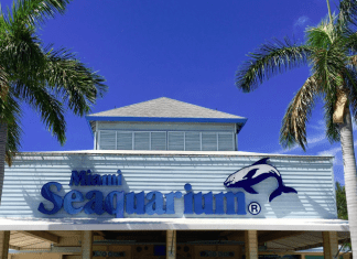 Miami Seaquarium | I-95 Exit Guide