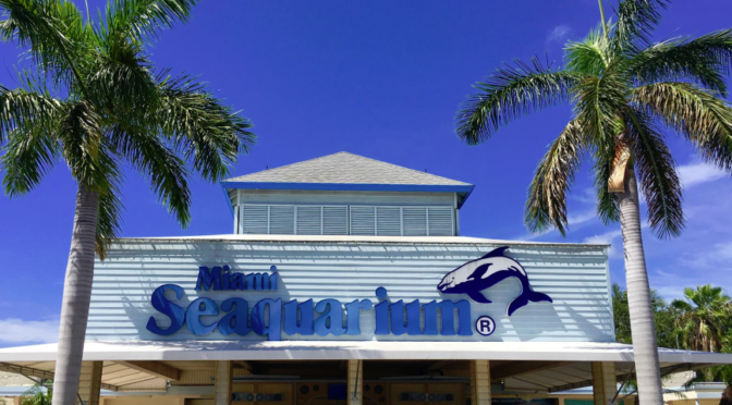 Miami Seaquarium | I-95 Exit Guide