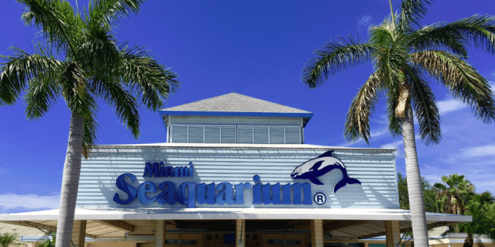 Miami Seaquarium | I-95 Exit Guide