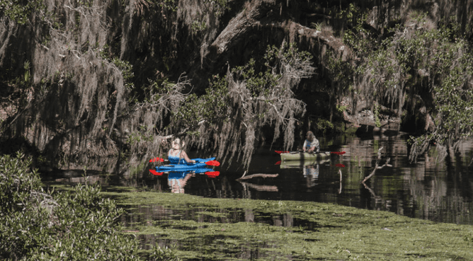 Blue Springs State Park | I-95 Exit Guide