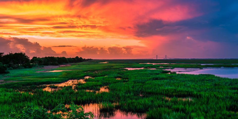 Golden Isle marshes | I-95 Exit Guide