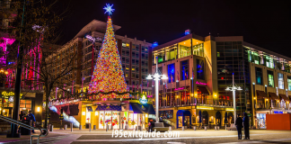 Washington DC Christmas | I-95 Exit Guide