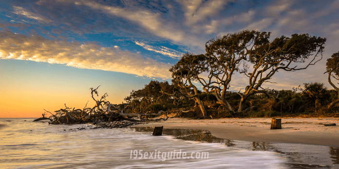 Jekyll Island, Georgia | I-95 Exit Guide