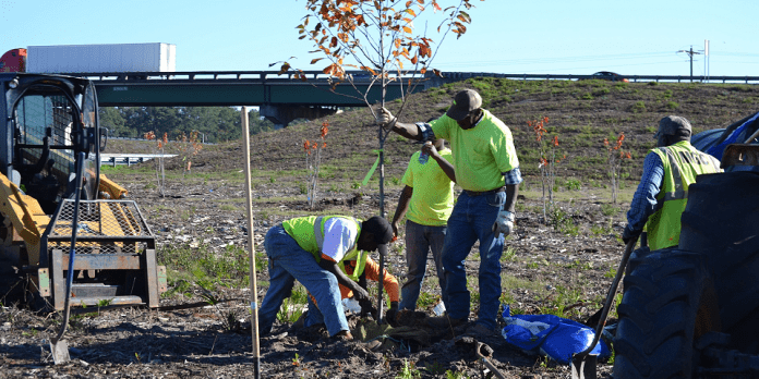 Georgia DOT Landscaping | I-95 Exit Guide