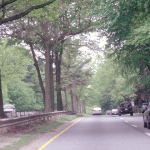 960×480-merritt-parkway-green-canopy