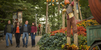 Busch Gardens Williamsburg | I-95 Exit Guide