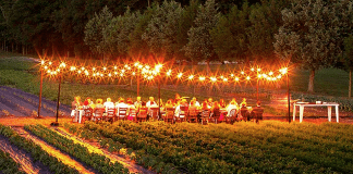 Virginia Fall Festivals | I-95 Exit Guide
