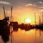 Cumberland Island National Seashore | I-95 Exit Guide
