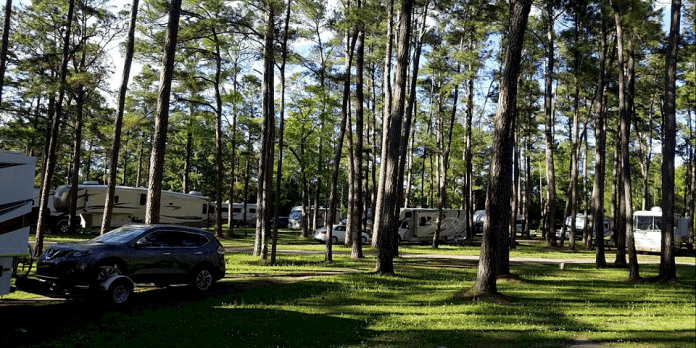 new-green-acres-camground-–-walterboro,-sc