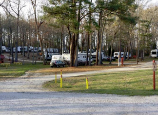 I-95 Campgrounds | South Forty Camp Resort - Petersburg, Virginia