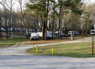I-95 Campgrounds | South Forty Camp Resort - Petersburg, Virginia