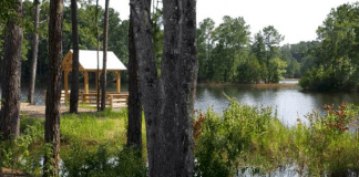 I-95 Campgrounds | Camp Lake Jasper RV Resort - Hardeeville, South Carolina