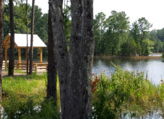 I-95 Campgrounds | Camp Lake Jasper RV Resort - Hardeeville, South Carolina