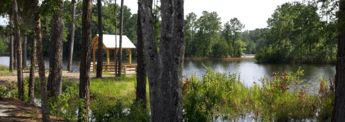 I-95 Campgrounds | Camp Lake Jasper RV Resort - Hardeeville, South Carolina